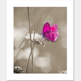 Pink butterfly Posters and Art